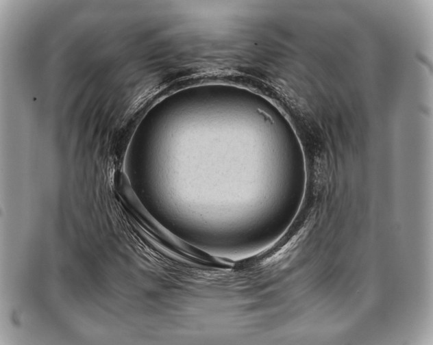 X0000096941257200802081157