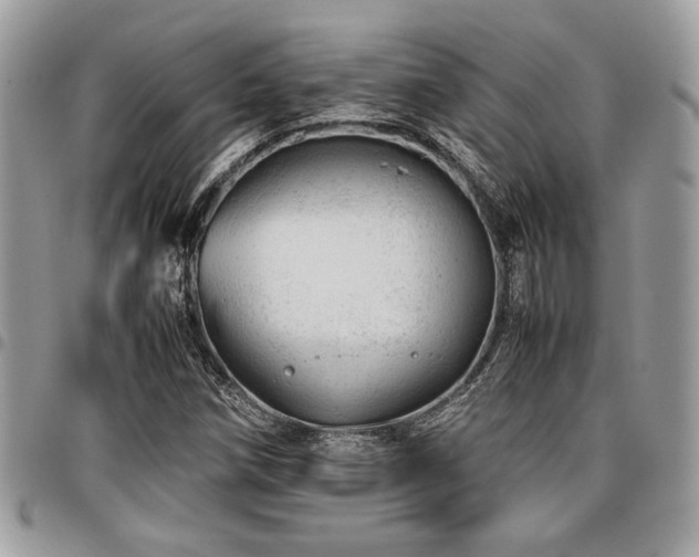 X0000096941258200802081157