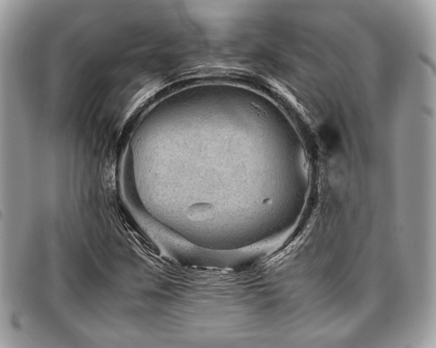 X0000096941259200802081157