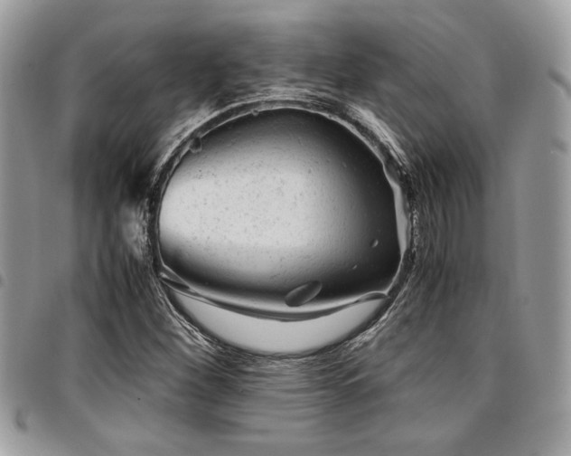 X0000096941260200802081157