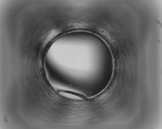 X0000096941261200802081157
