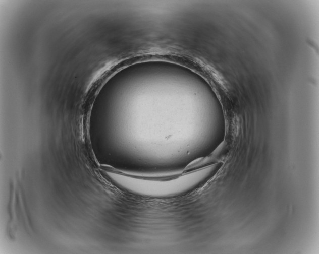 X0000096941262200802081157