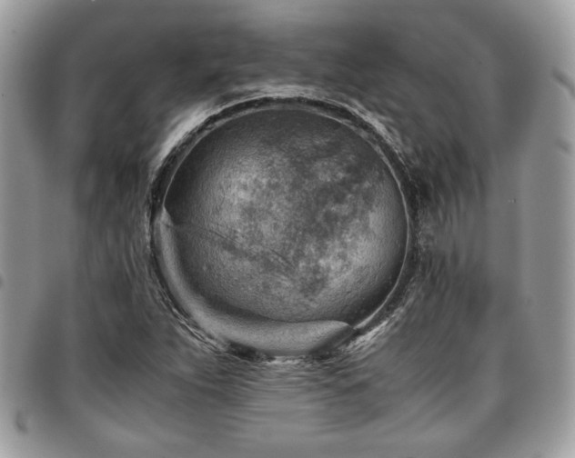 X0000096941263200802081157