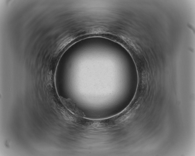 X0000096941265200802081157