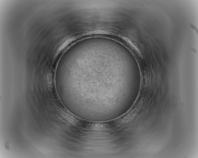 X0000096941266200802081157