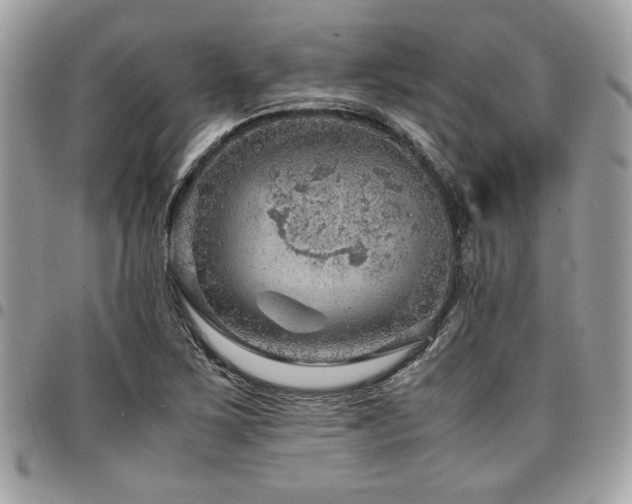 X0000096941267200802081157