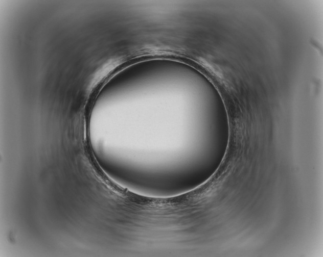 X0000096941269200802081157