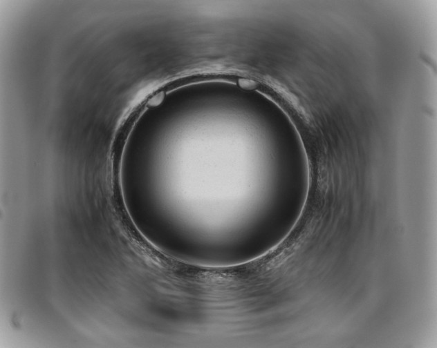 X0000096941270200802081157