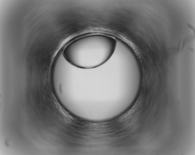 X0000096941272200802081157