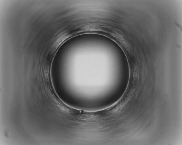 X0000096941273200802081157