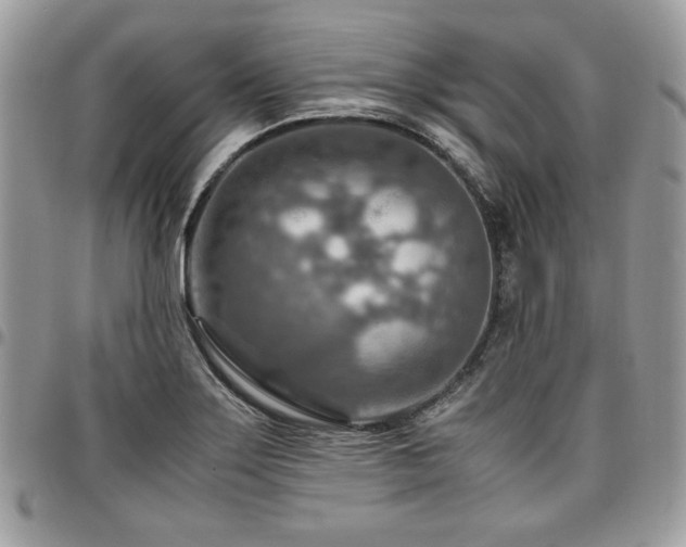 X0000096941275200802081157