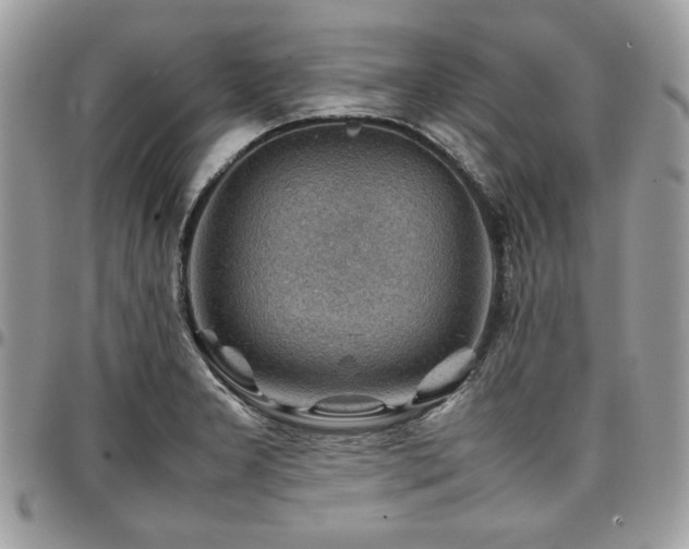 X0000096941277200802081157