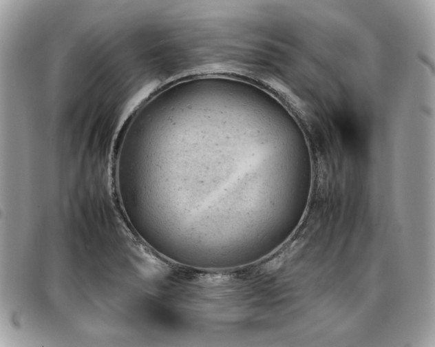 X0000096941278200802081157
