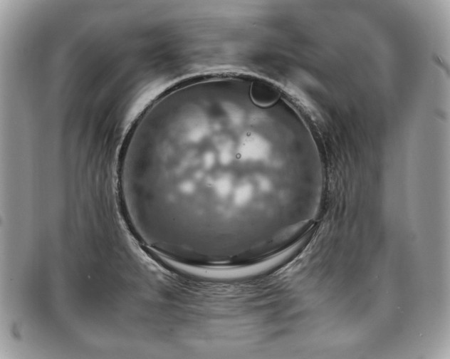 X0000096941279200802081157