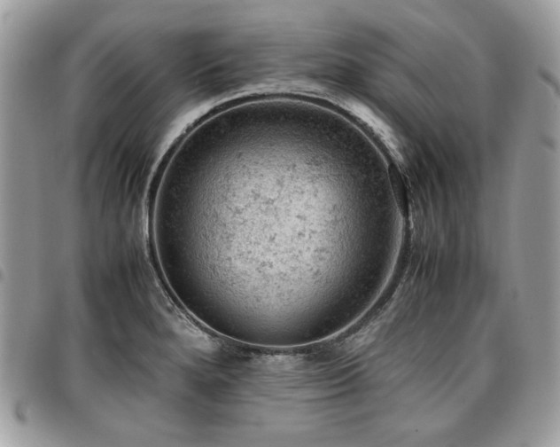 X0000096941280200802081157