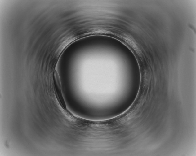 X0000096941281200802081157