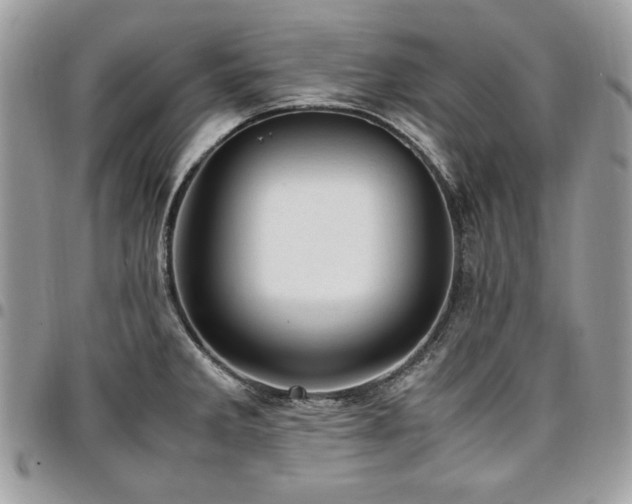 X0000096941285200802081157