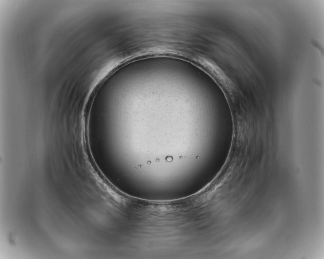 X0000096941286200802081157