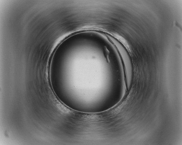 X0000096941288200802081157