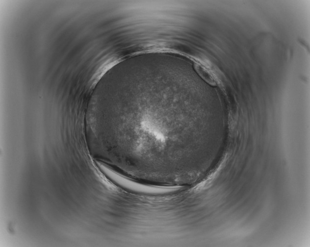 X0000096941289200802081157