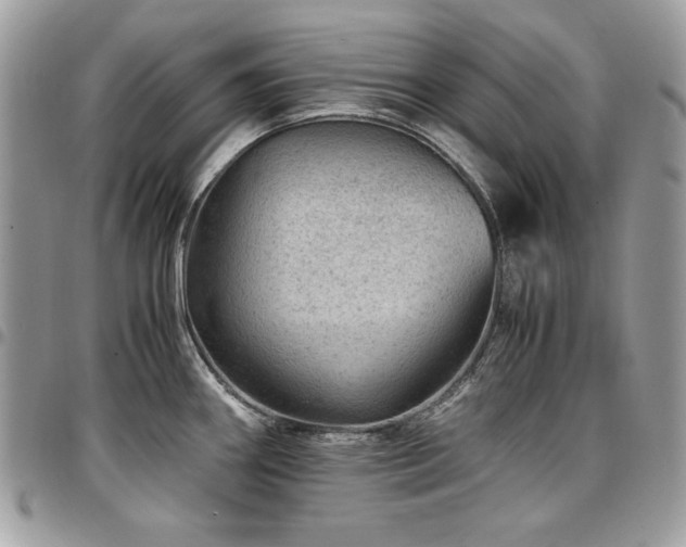X0000096941290200802081157