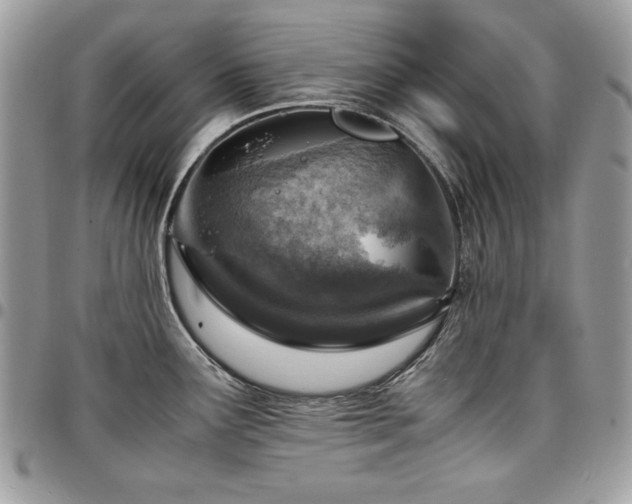 X0000096941291200802081157