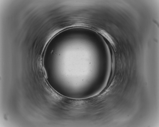 X0000096941292200802081157
