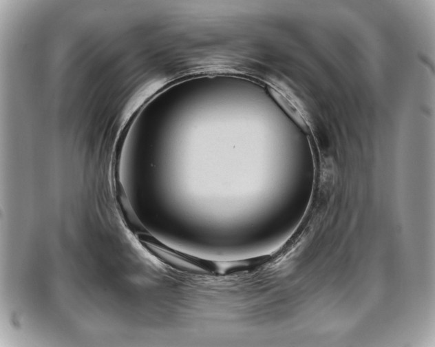 X0000096941293200802081157