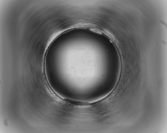 X0000096941296200802081157