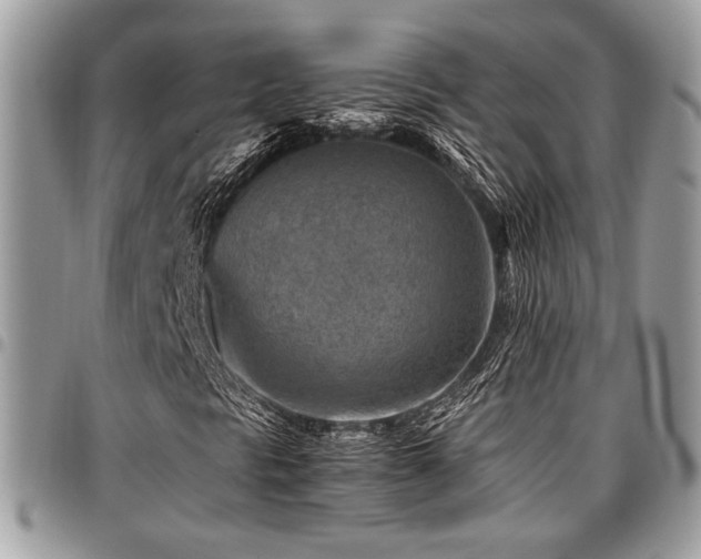 X0000096941297200802081156