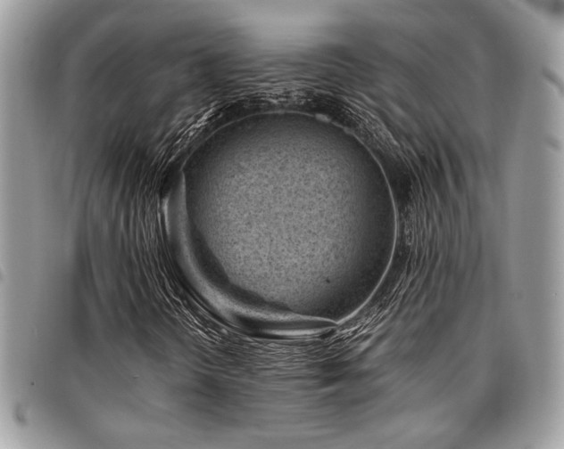 X0000096941298200802081156
