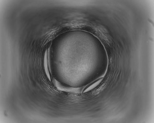 X0000096941300200802081156