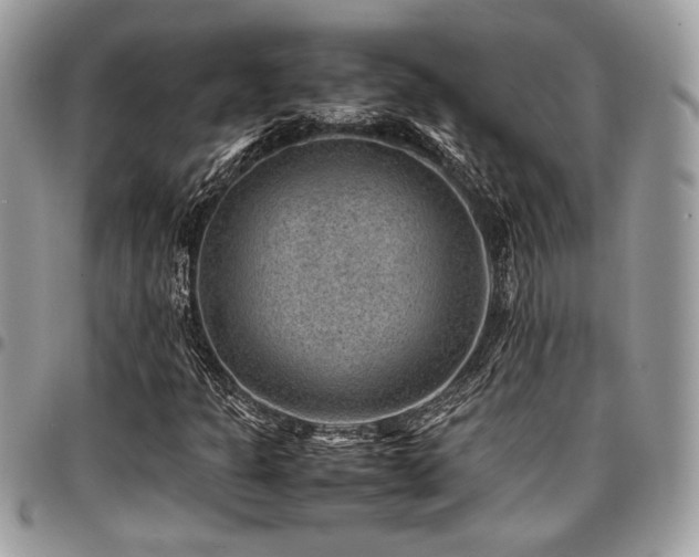 X0000096941301200802081156