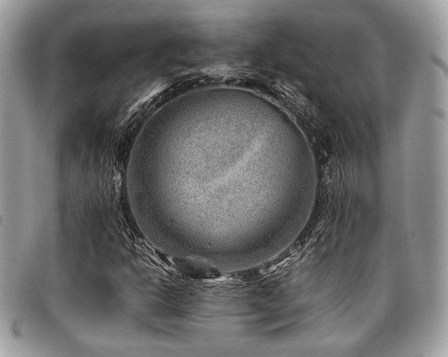 X0000096941302200802081156