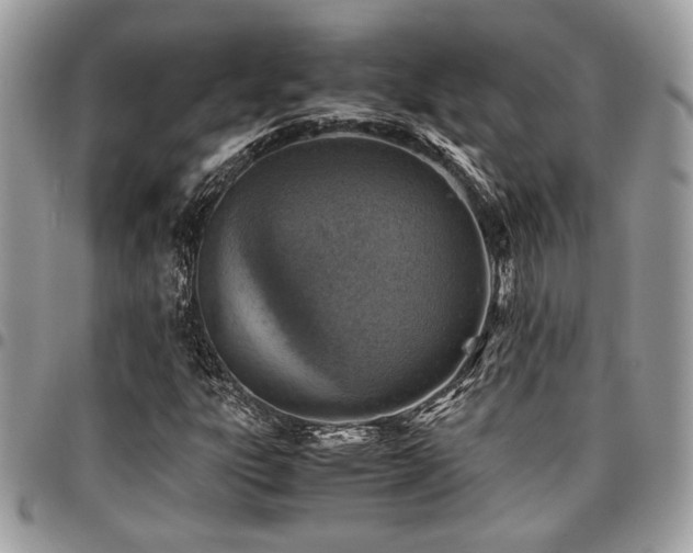 X0000096941303200802081156