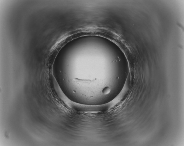 X0000096941304200802081156