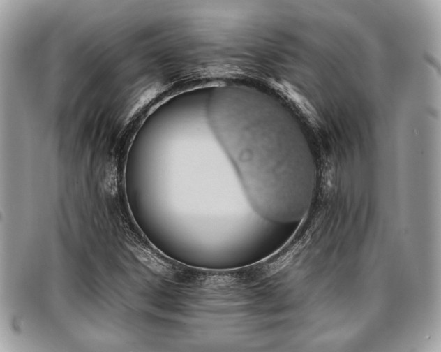 X0000096941306200802081156