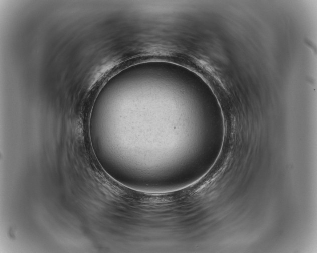 X0000096941307200802081156