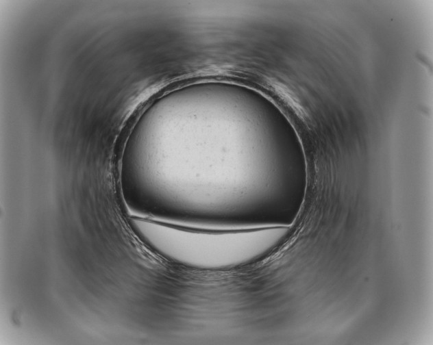 X0000096941308200802081156