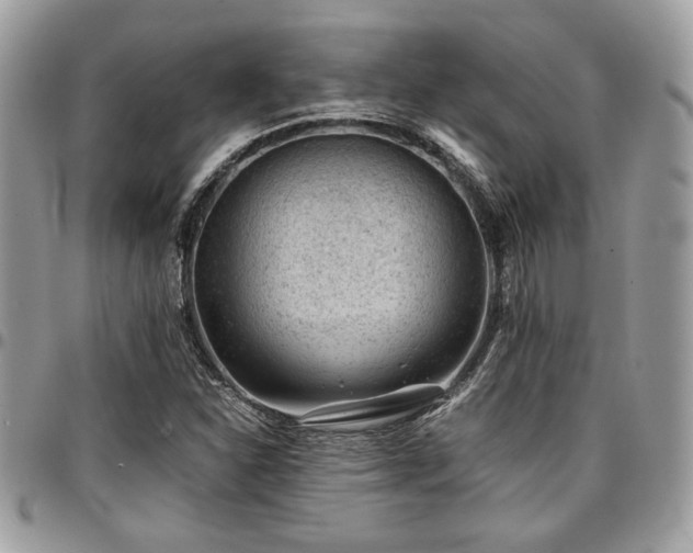 X0000096941310200802081156