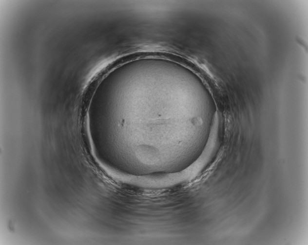 X0000096941311200802081156