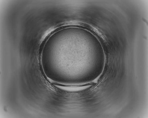 X0000096941312200802081156