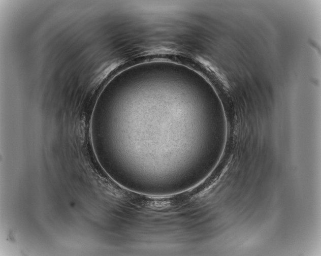X0000096941313200802081156