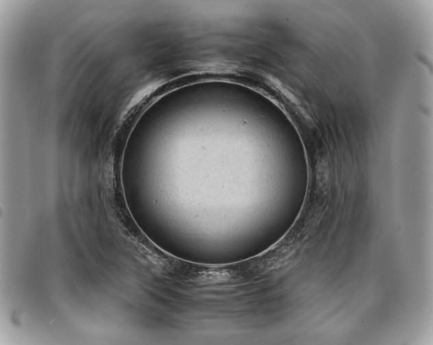 X0000096941315200802081156