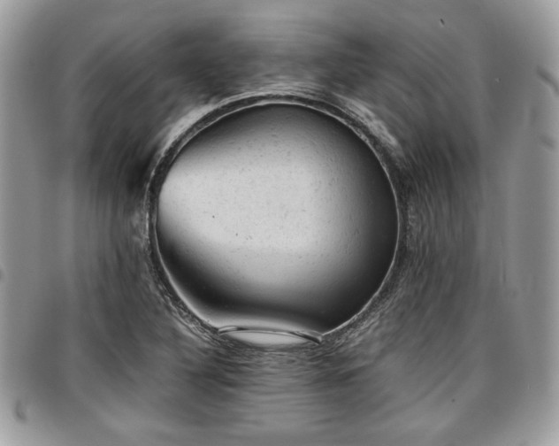 X0000096941316200802081156