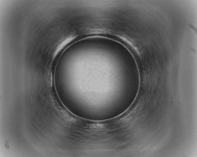 X0000096941317200802081156