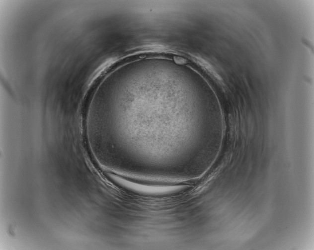 X0000096941318200802081156
