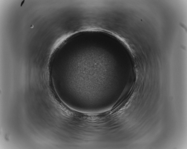 X0000096941319200802081156
