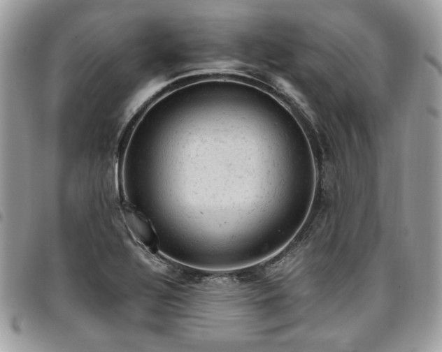 X0000096941320200802081156