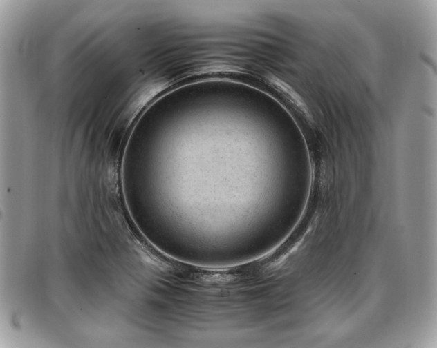 X0000096941321200802081156